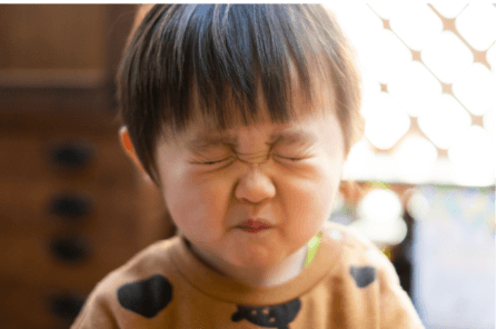 苦くないって大事なこと