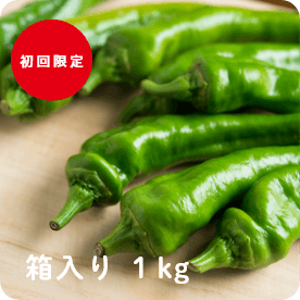 京丹波 万願寺とうがらし THE MANGAN