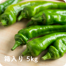 京丹波 万願寺とうがらし THE MANGAN