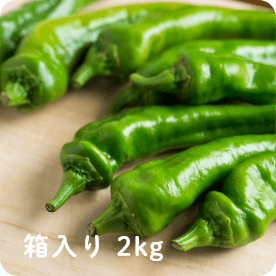 京丹波 万願寺とうがらし THE MANGAN