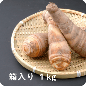 京丹波 万願寺とうがらし THE MANGAN