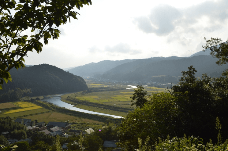 綺麗な水と豊かな自然で生まれる